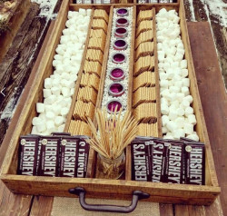 e8a68eca d95f 40c7 b4a2 e324717e21fe 1762044034 S'mores Bar